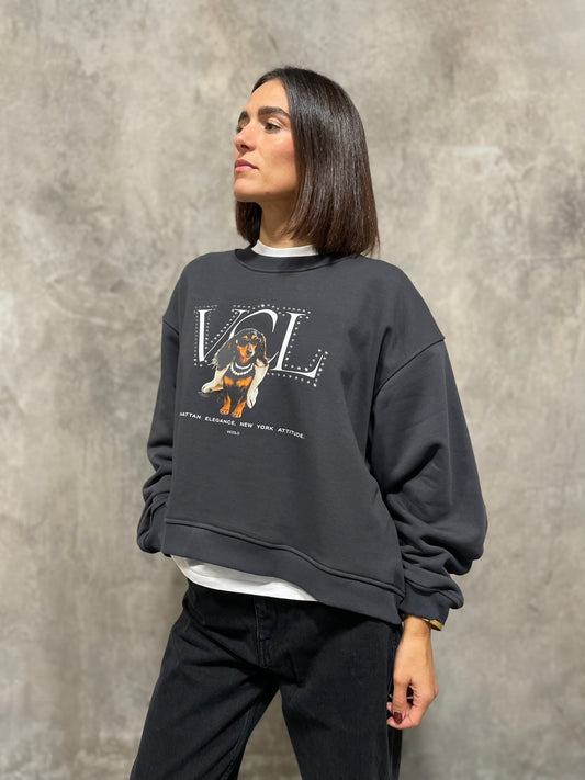 Felpa VCL Grigia